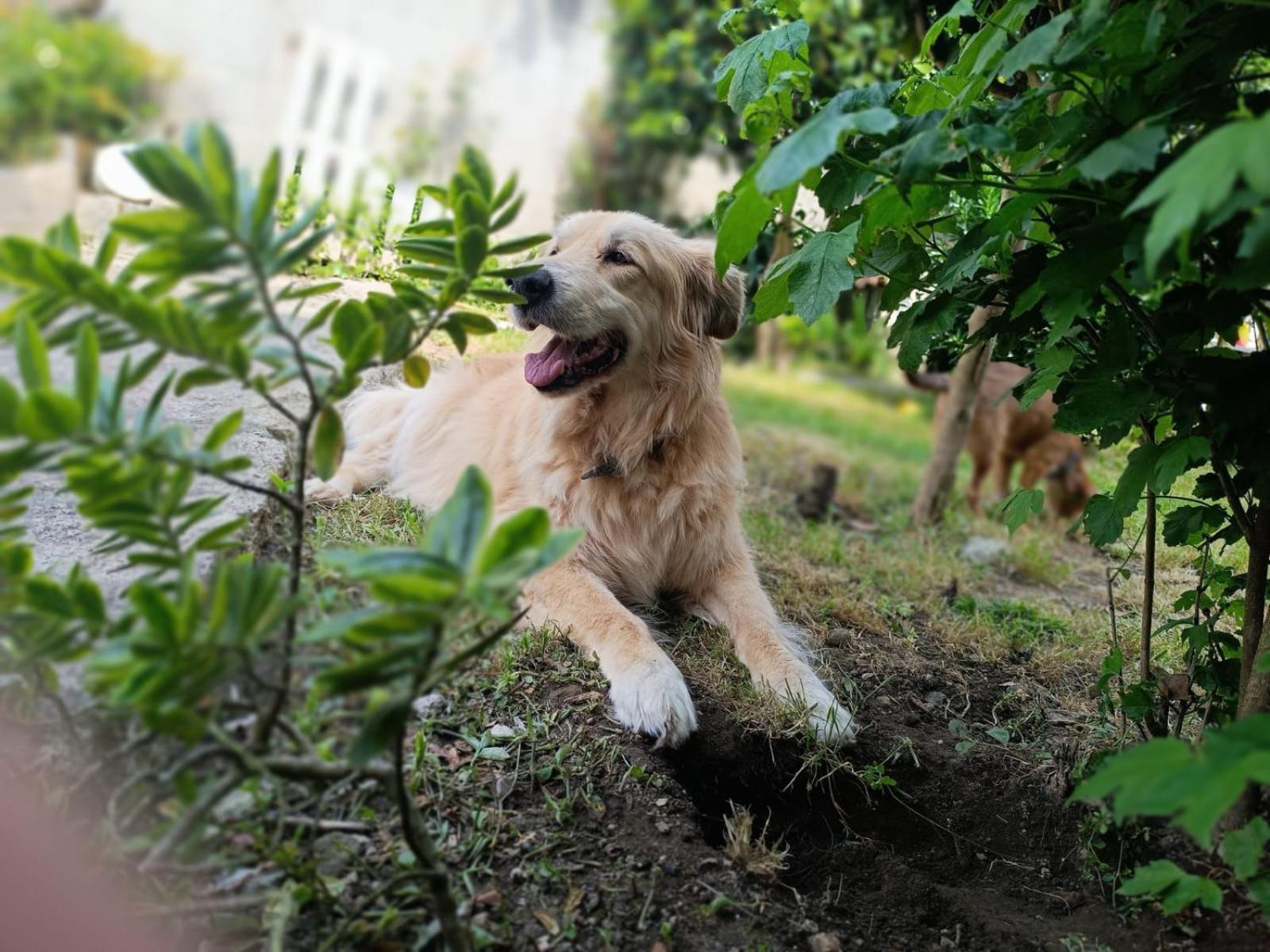 Willa A Casina De Tuli Vigo Zewnętrze zdjęcie